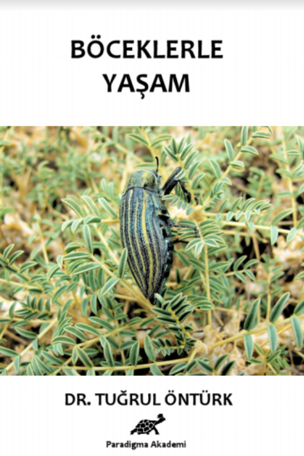 Böceklerle Yaşam