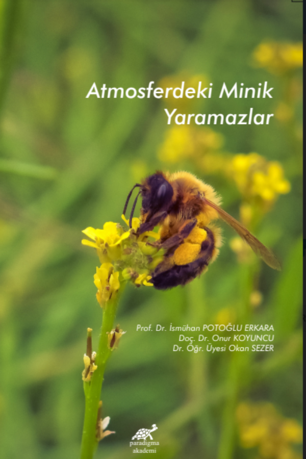 Atmosferdeki Minik Yaramazlar