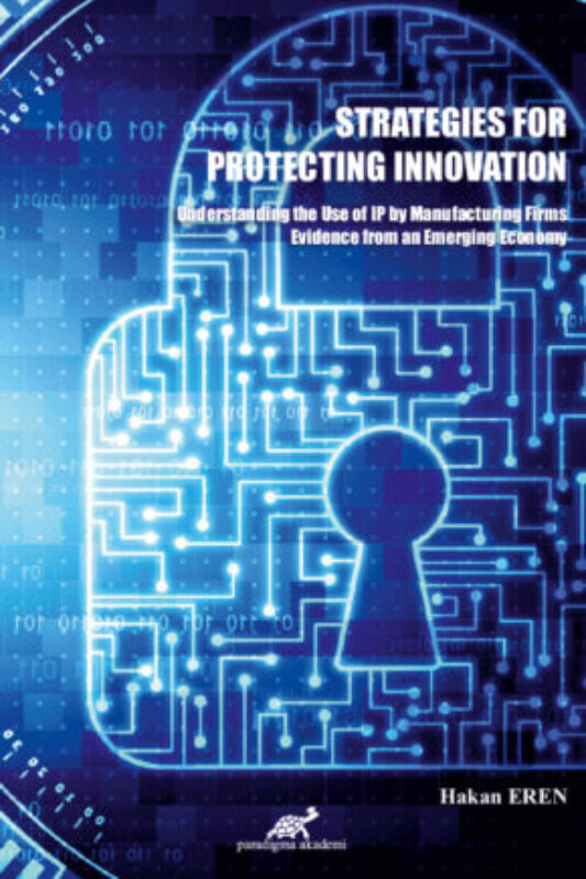 Strategies For Protecting Innovation