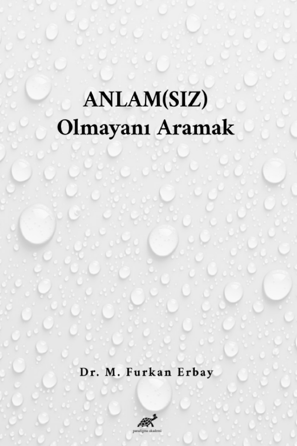 Anlam(sız) Olmayanı Aramak