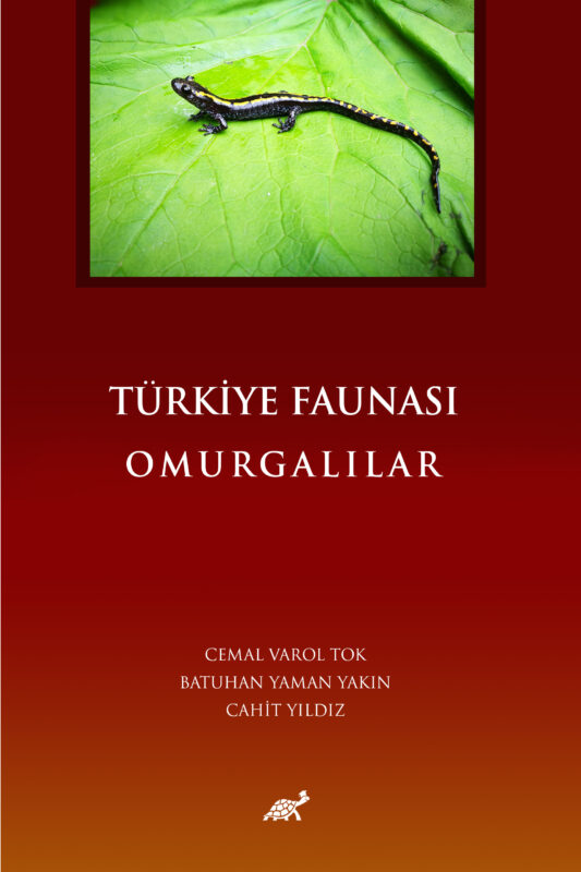 TÜRKİYE FAUNASI  “OMURGALILAR”